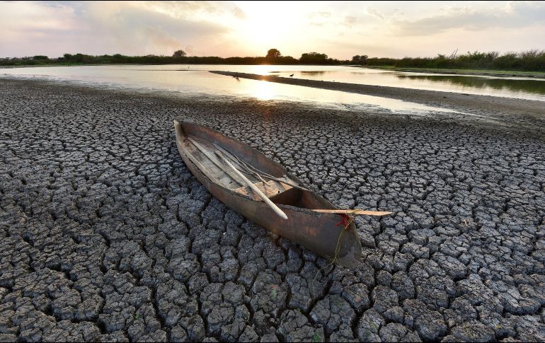 Los nuevos hallazgos de la OMM son especialmente sombríos, al estar incluidos en un mismo reporte. EFE / ARCHIVO