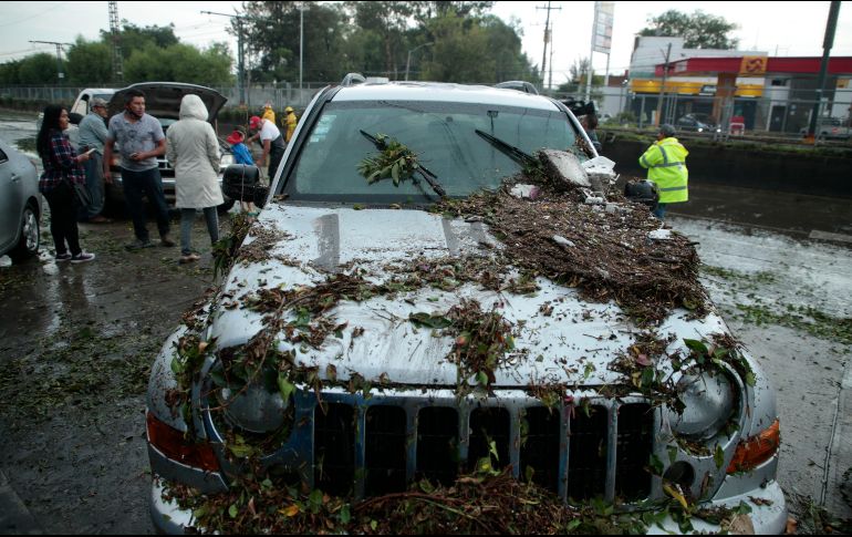 Aquí te decimos los tipos de seguros que te protegen contra estos fenómenos naturales. EL INFORMADOR / ARCHIVO
