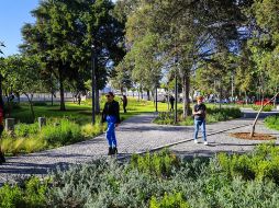 Caminar es una de las actividades que más ayudan a perder peso, pero siempre y cuando se haga de manera correcta, además de que se combine con una dieta balanceada. EL INFORMADOR / A. Navarro