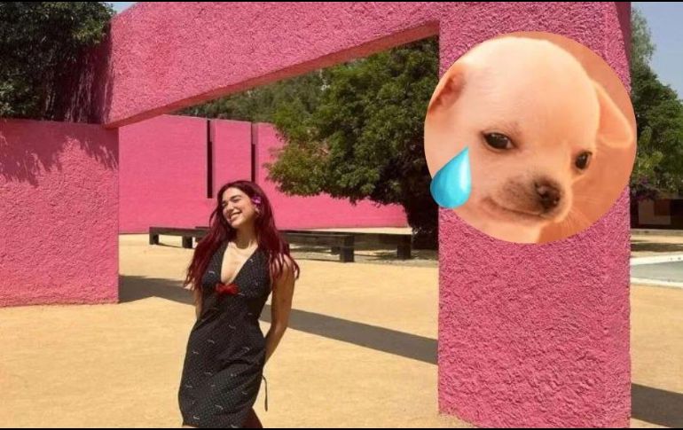 Dua Lipa visitó la Ciudad de México junto con su novio Callum Turner. ESPECIAL/ INSTAGRAM/@dualipa.