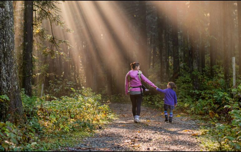La felicidad se puede vivir como un momento intenso, pero también como una sensación estática que da confianza en el porvenir. UNSPLASH/James Wheeler