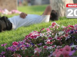 Clima en Guadalajara: Hacia la tarde, combinación de sol y nubes mantendrás las temperaturas cálidas. EL INFORMADOR / ARCHIVO