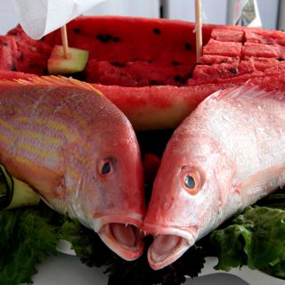 Estos son los alimentos que el páncreas necesita para funcionar