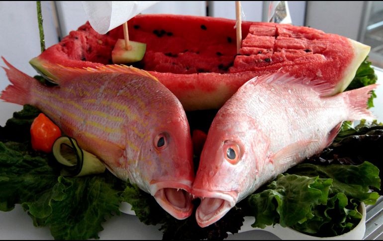 Consumir pescados como el salmón, trucha de lago, atún y arenque; aportan grasa de Omega-3 muy saludables no solo para el tratamiento de la pancreatitis, sino que beneficia al propio corazón de alguna enfermedad cardiovascular. NTX / ARCHIVO