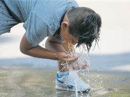 Apenas comienza la primavera y ya se sienten las altas temperaturas. EL INFORMADOR/Archivo