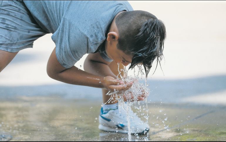 Apenas comienza la primavera y ya se sienten las altas temperaturas. EL INFORMADOR/Archivo