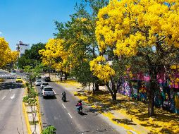 El calor agobia más en el oriente de Guadalajara