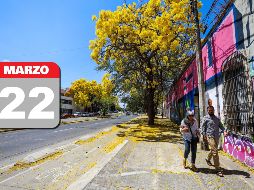 Jalisco espera cielo despejado durante el día y sin lluvia en la región. EL INFORMADOR / A. Navarro