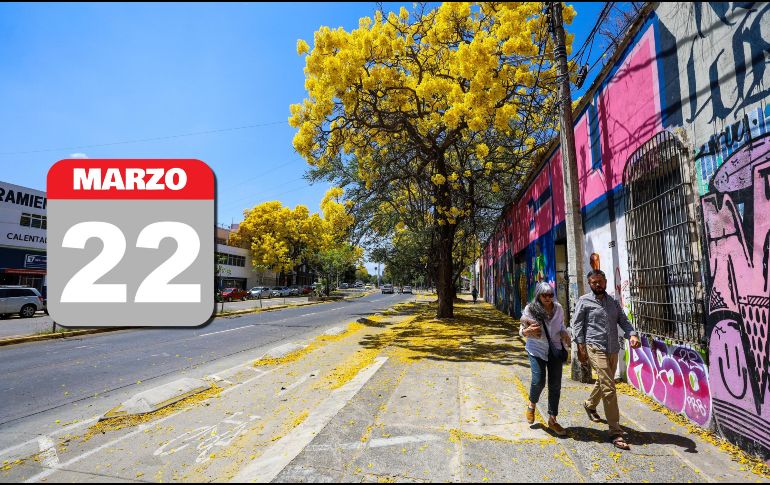 Jalisco espera cielo despejado durante el día y sin lluvia en la región. EL INFORMADOR / A. Navarro