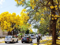 EL INFORMADOR/ A. Navarro