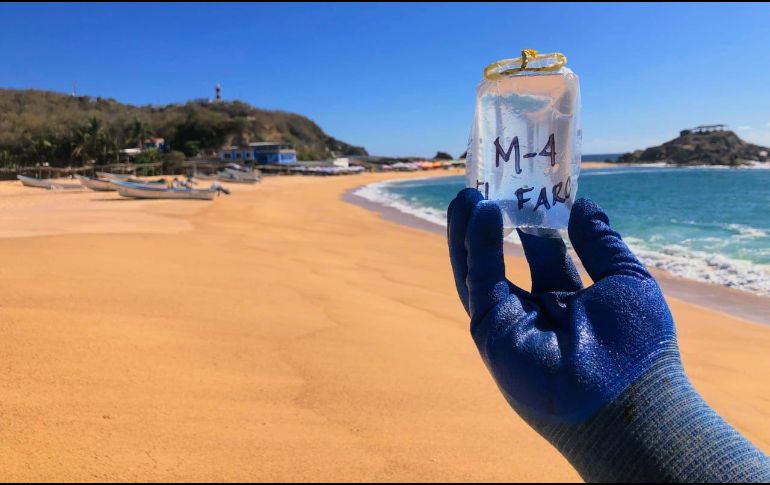 En muchos estudios, dice la Semarnat, los niveles de concentración de los enterococos se relacionan con la incidencia de enfermedades adquiridas por bañistas. X / @COFEPRIS