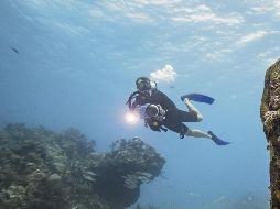 Cancún: Mantente en armonía sin desconectarte del trabajo