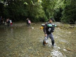 El aumento de migrantes por el Darién en su trayecto hacia Estados Unidos o Canadá en busca de mejores condiciones de vida ha sido progresivo desde 2021. EFE / ARCHIVO