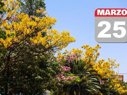 Clima en Guadalajara: Cielo despejado con temperaturas e índice UV altos por la tarde. EL INFORMADOR / ARCHIVO