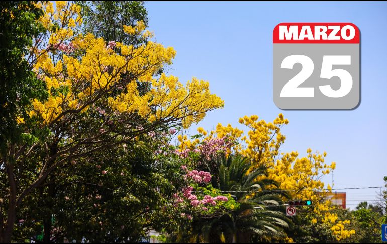 Clima en Guadalajara: Cielo despejado con temperaturas e índice UV altos por la tarde. EL INFORMADOR / ARCHIVO