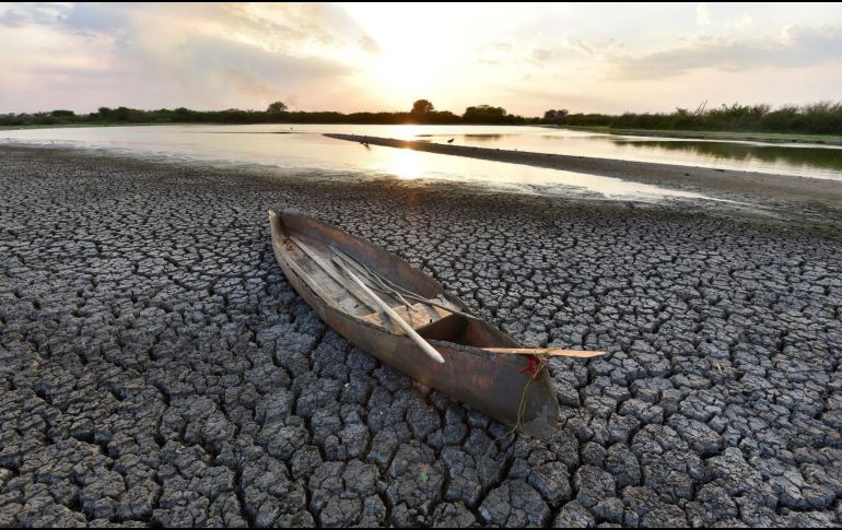 Las lluvias registradas no fueron suficientes para moderar sequías hasta el 15 de marzo de 2024. EFE/ ARCHIVO