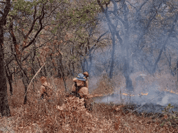 Al momento el incendio es atendido por 135 bomberas y bomberos forestales de la Semadet y otras dependencias. X/@ReporteForestal