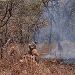 Activan Alerta Atmosférica en Ixtlahuacán de los Membrillos por incendio forestal