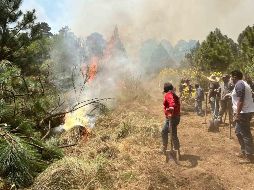 Según datos del Centro Nacional de Prevención de Desastres, el 90 % de los incendios forestales surgen por descuidos, actos de vandalismo o imprudencia. SUN/ ARCHIVO.