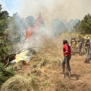 Semana Santa se ve opacada por una serie de incendios forestales