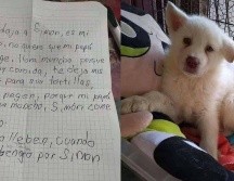 Actualmente, el niño ya cuenta con 13 años de edad y visita constantemente a su perro, a la espera de lograr llevarlo nuevamente a casa. ESPECIAL