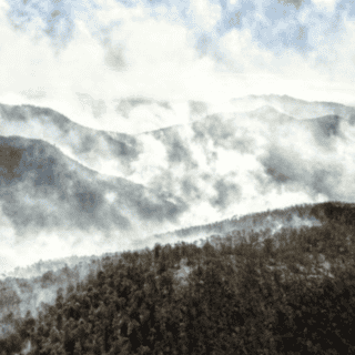 Incendio en Santa Rosa de Lima devora 300 hectáreas de encino