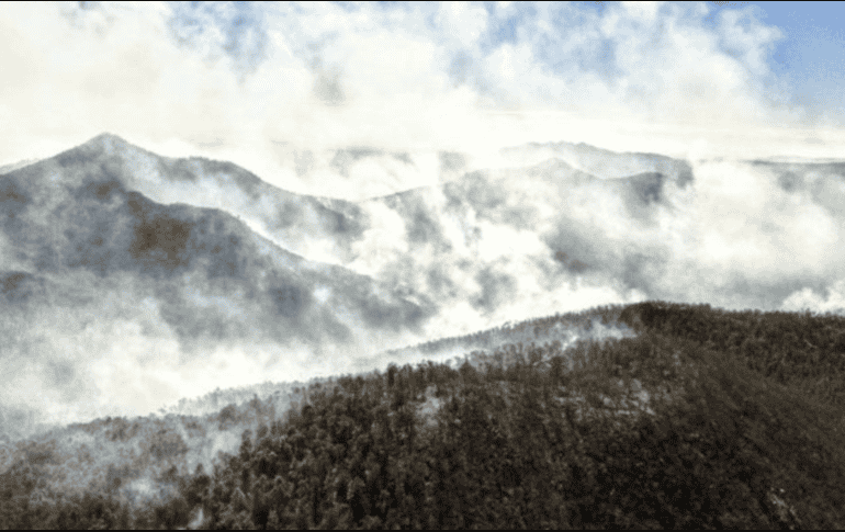 Este martes 26 se reporta un porcentaje notable en el control y la liquidación, informó Daniel Barrera. X/@EstadoLuz_