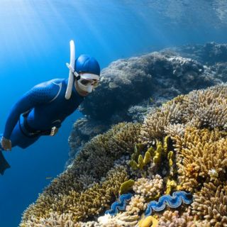 ¿Cuántas playas tiene Puerto Vallarta?
