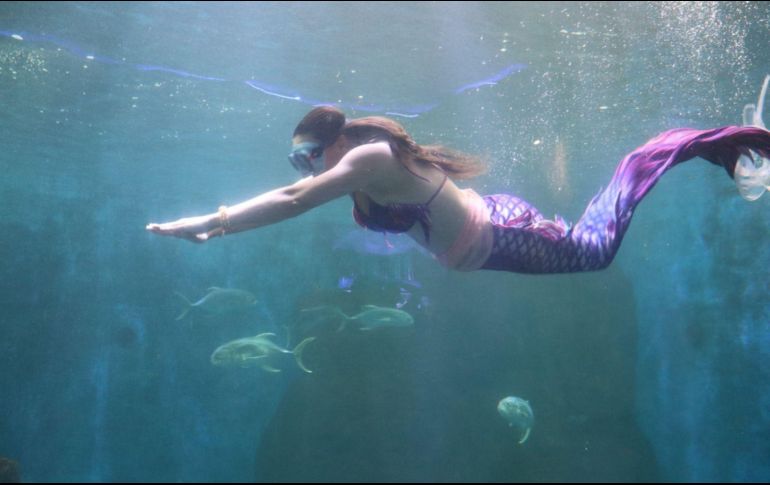 Esto será durante todas las vacaciones de Semana Santa y Pascua. ESPECIAL / ZOOLÓGICO DE GUADALAJARA