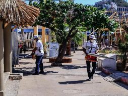 Son tres del Cono Sur los más alarmantes: Brasil, Paraguay y Argentina. Suman el 92 % de todos y el 87 % de las muertes. EFE / D. Guzmán