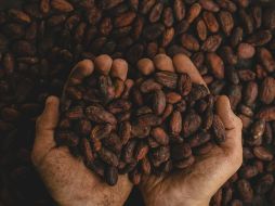 Para obtener todos los beneficios del cacao, es importante consumirlo en su forma más pura y menos procesada. ESPECIAL/ Foto de Pablo Merchán Montes en Unsplash
