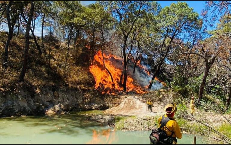 Combaten incendio forestal dentro del Bosque La Primavera