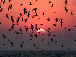 De acuerdo con la UNAM, el puerto de Mazatlán será el lugar ideal para ver el Eclipse Solar 2024 de forma presencial, pero también podrán observarse en Internet en vivo. AFP / ARCHIVO