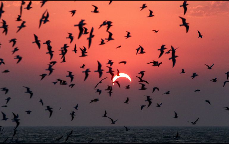 De acuerdo con la UNAM, el puerto de Mazatlán será el lugar ideal para ver el Eclipse Solar 2024 de forma presencial, pero también podrán observarse en Internet en vivo. AFP / ARCHIVO