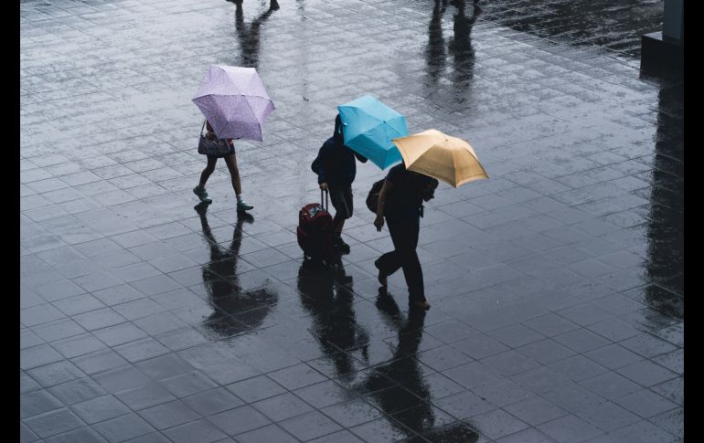 Toma precauciones, se acerca la temporada de huracanes en el atlántico y pacífico. Unsplash