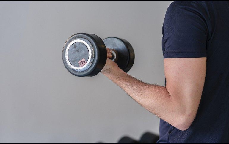 Un estudio hecho por Tiago da Silva Alexandre, afirma: 