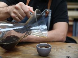 Estas recomendaciones pueden provocar un cambio inmediato en tu percepción del mundo. EL INFORMADOR / ARCHIVO