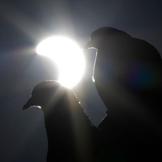 ¿Cómo ver el eclipse total de Sol si está nublado?