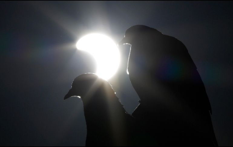 La transmisión en vivo de la AP comenzará a las 10 de la mañana, del este de Estados Unidos, con tomas desde Mazatlán, México, y otros puntos. EFE / ARCHIVO