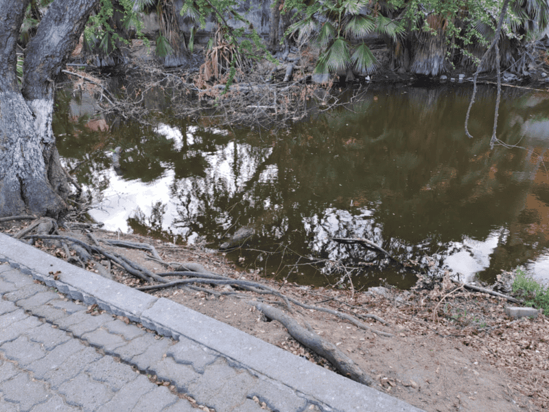 EL INFORMADOR / O. Álvarez 