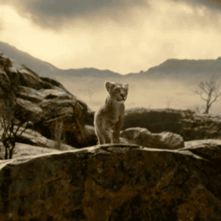 "Mufasa": Se revela la primera imagen exclusiva de la anticipada precuela de "El Rey León"