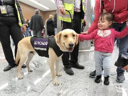 Con este nuevo beneficio a los pasajeros se espera que ahorren en gran medida el costo que esto implicaba, pues tenían que pagar alrededor de 35 dólares, cerca de 580 pesos mexicanos. INFORMADOR/ARCHIVO