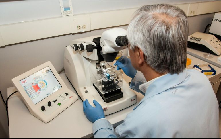 Los principales factores de riesgo son tener más de 50 años y antecedentes familiares. UNSPLASH /  National Cancer Institute