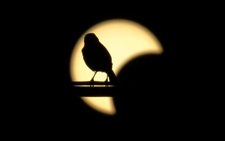 El último eclipse de sol como el que ocurre este lunes fue en 1991. AFP / ARCHIVO