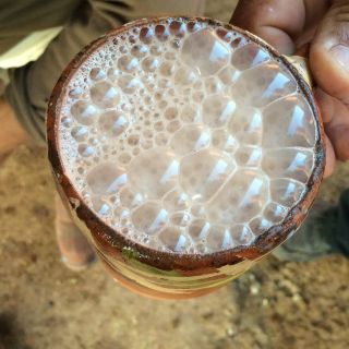 Dónde comprar leche en Jalisco recién ordeñada y a solo 10 pesos