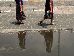 Las altas temperaturas se presentan entre las tres y cuatro de la tarde. EFE / D.Toro