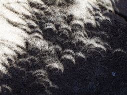 En las imágenes se ven como se forman medias lunas en las sombras de los árboles y esto se trata de un efecto óptico que sucede cuando la luz atraviesa un pequeño orificio. EL INFORMADOR/ A. Navarro.