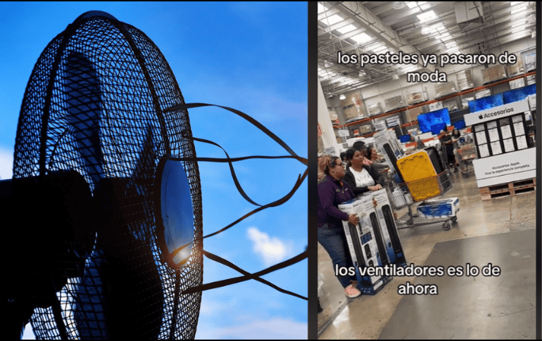 Aunque el precio oficial de este ventilador en la página web de Costco es de 699 pesos, actualmente se muestra como agotado. ESPECIAL/ Pixabay.