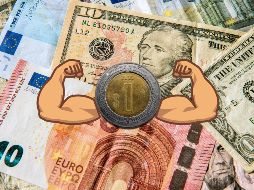 El peso suma una ganancia en el año de 3.7% o 63 centavos, con lo que se ubica como la divisa más apreciada en la canasta amplia de principales cruces. AFP / ARCHIVO