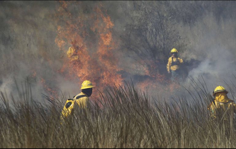 La respuesta a los incendios ha sido menos eficiente a causa del bajo presupuesto. SUN/ARCHIVO